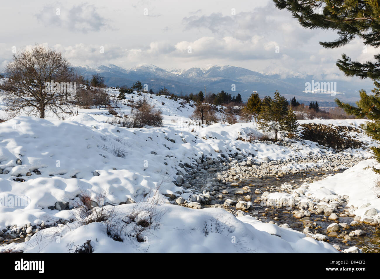 Ruscello di montagna che scorre fra le pietre coperte di neve Foto Stock