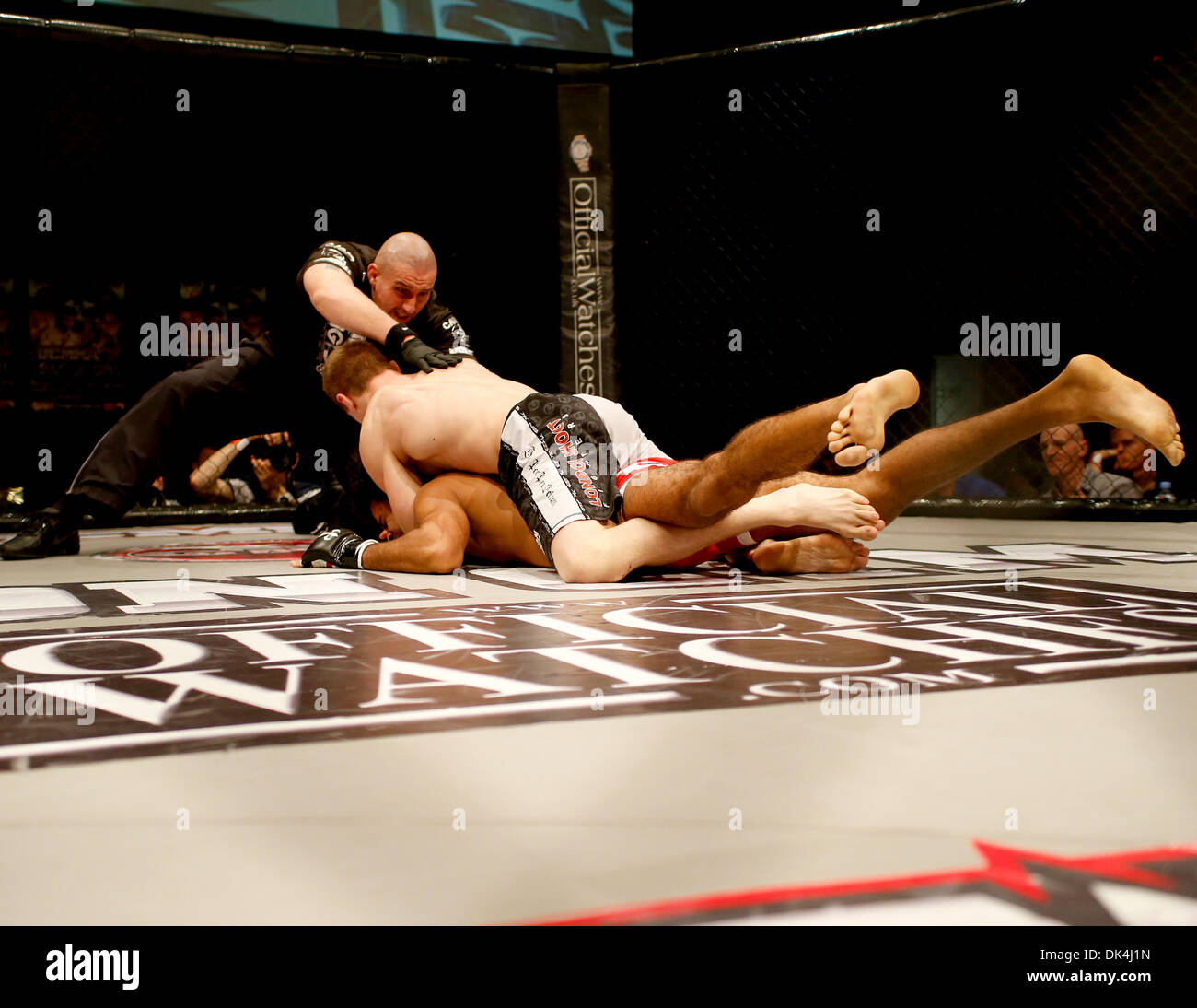 Londra, Regno Unito. 30 Novembre, 2013. L'UFC arbitro signor Leon Roberts si arresta la lotta in favore di Marvin Vettori su Matt Robinson attraverso un triangolo invertito di strozzatura durante UCMMA 37 dal Troxy Theatre London © Azione Sport Plus/Alamy Live News Foto Stock