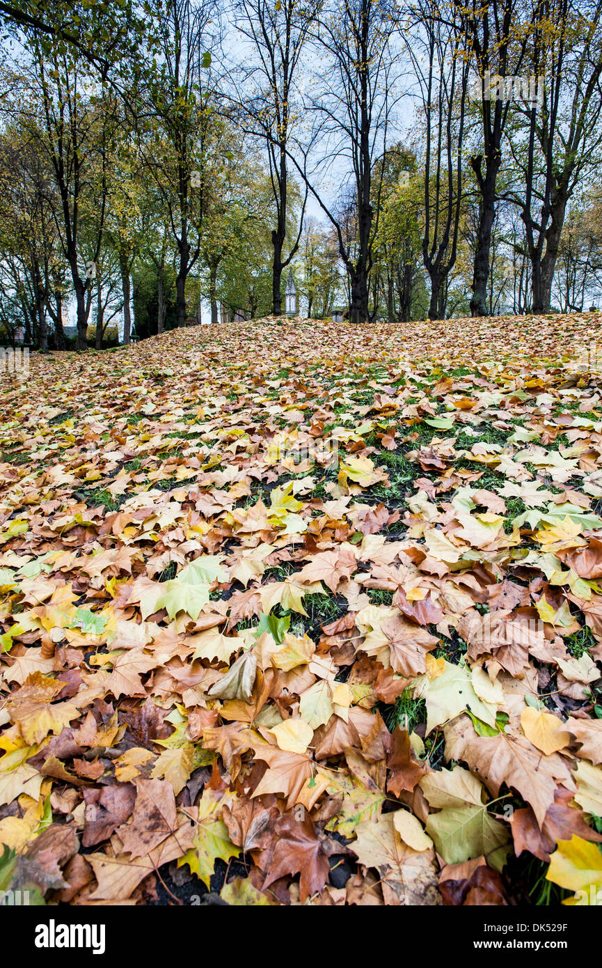 St Pancras giardini in autunno, London, Regno Unito Foto Stock