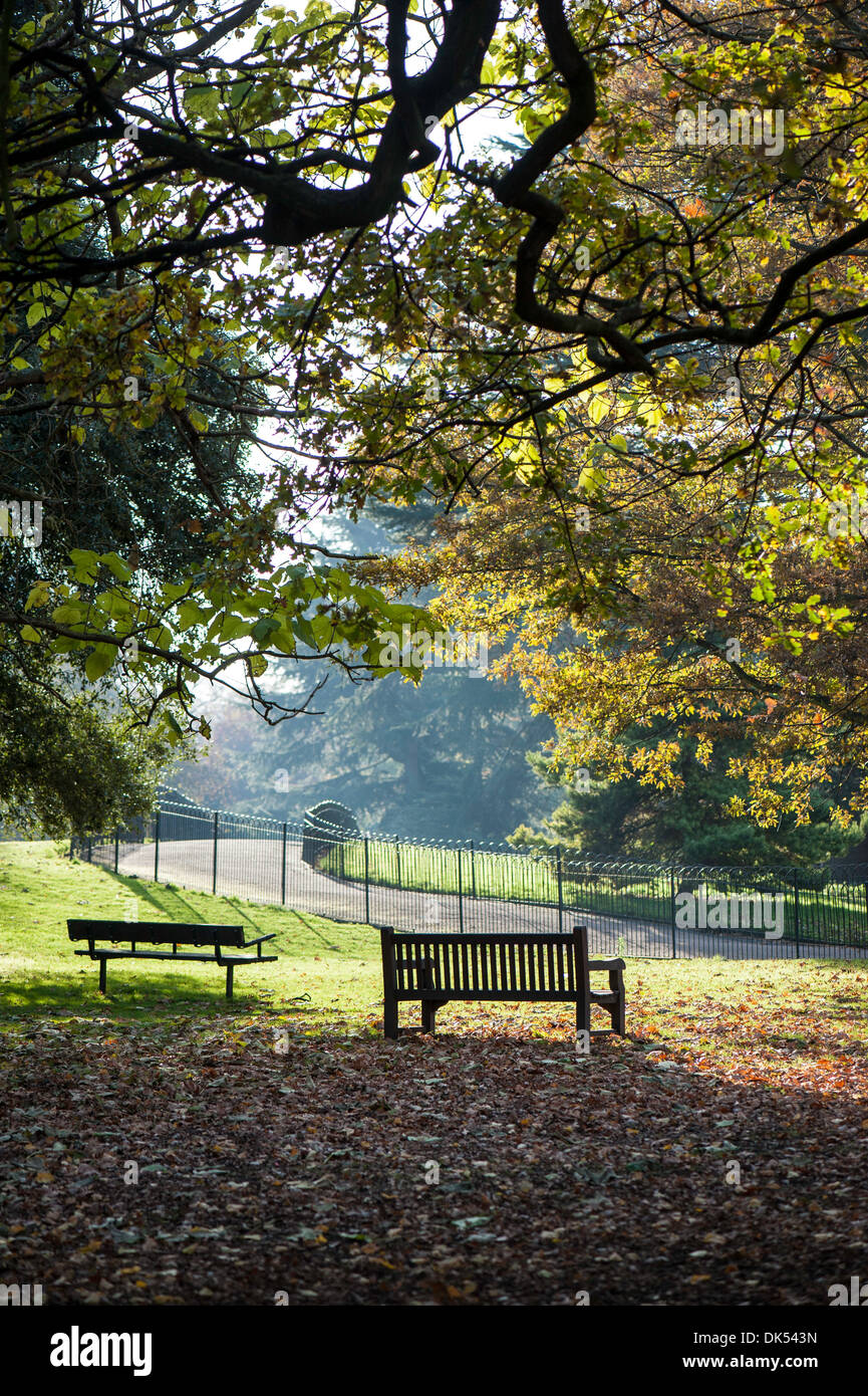 Ravenscourt Park, Hammersmith, London, Regno Unito Foto Stock