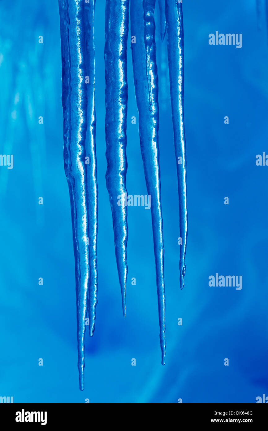 L'Antartide, ghiaccioli pendenti dal tetto di ghiaccio del ghiacciaio grotta di stretto di Gerlache lungo la Penisola Antartica Foto Stock
