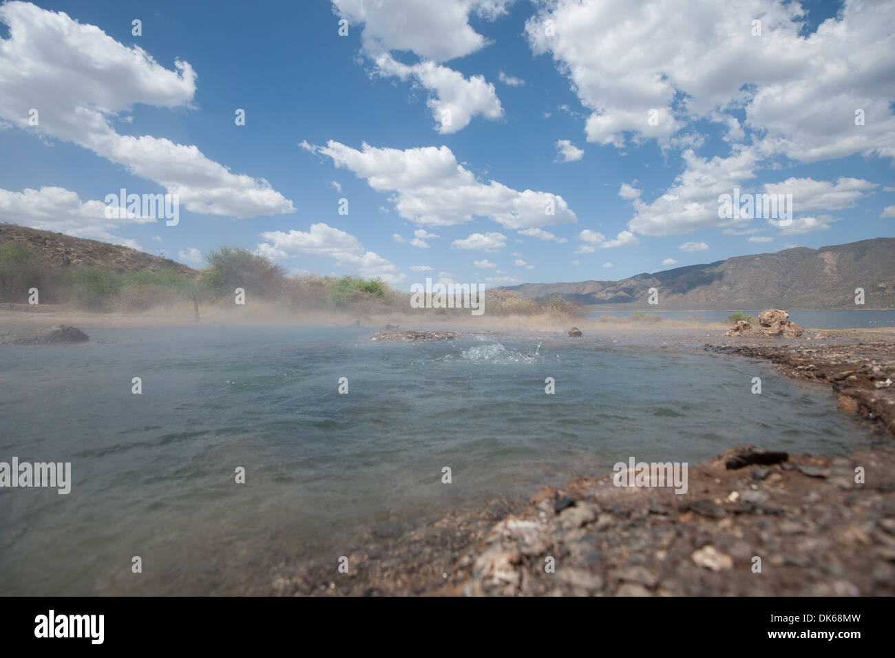 Vapore sorge dal lago Bogoria hot springs in Kenya Foto Stock
