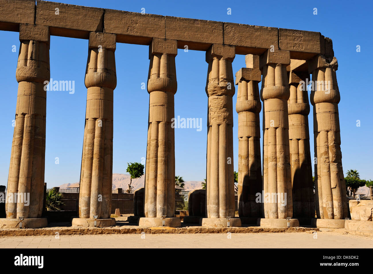 Colonne con cluster di papiro bud capitelli in Corte di Amenhotep III - Tempio di Luxor, Egitto Foto Stock