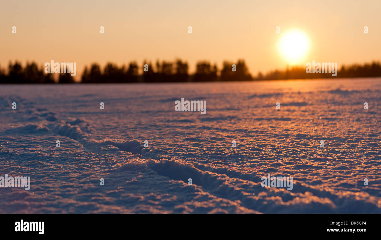 Golden Sunset dietro il campo di neve con impronte o tracce Foto Stock