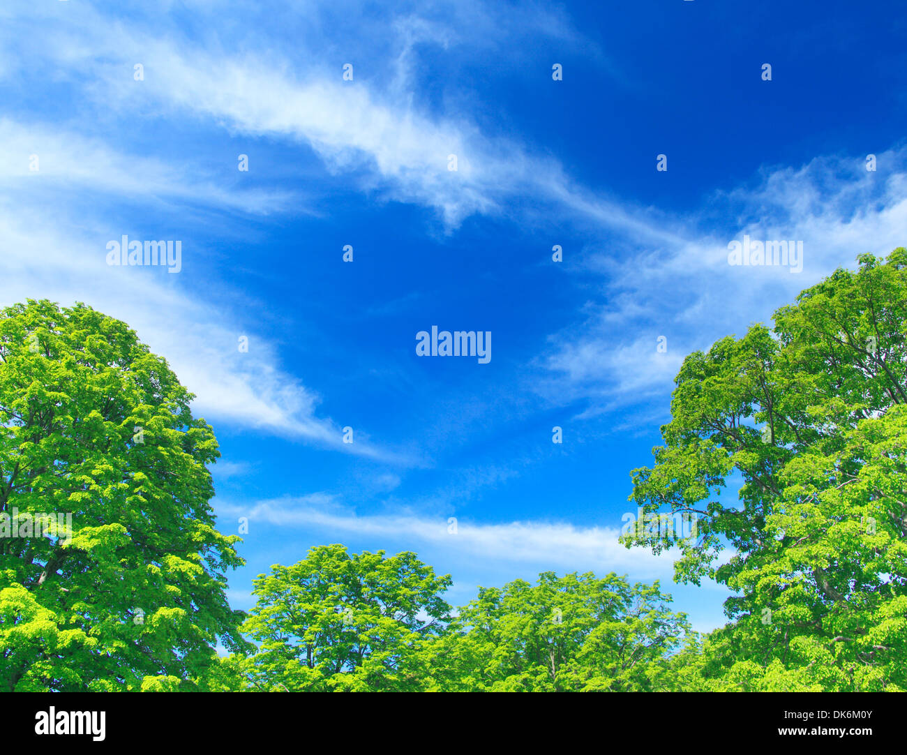 Nella Prefettura di Aomori, Giappone Foto Stock