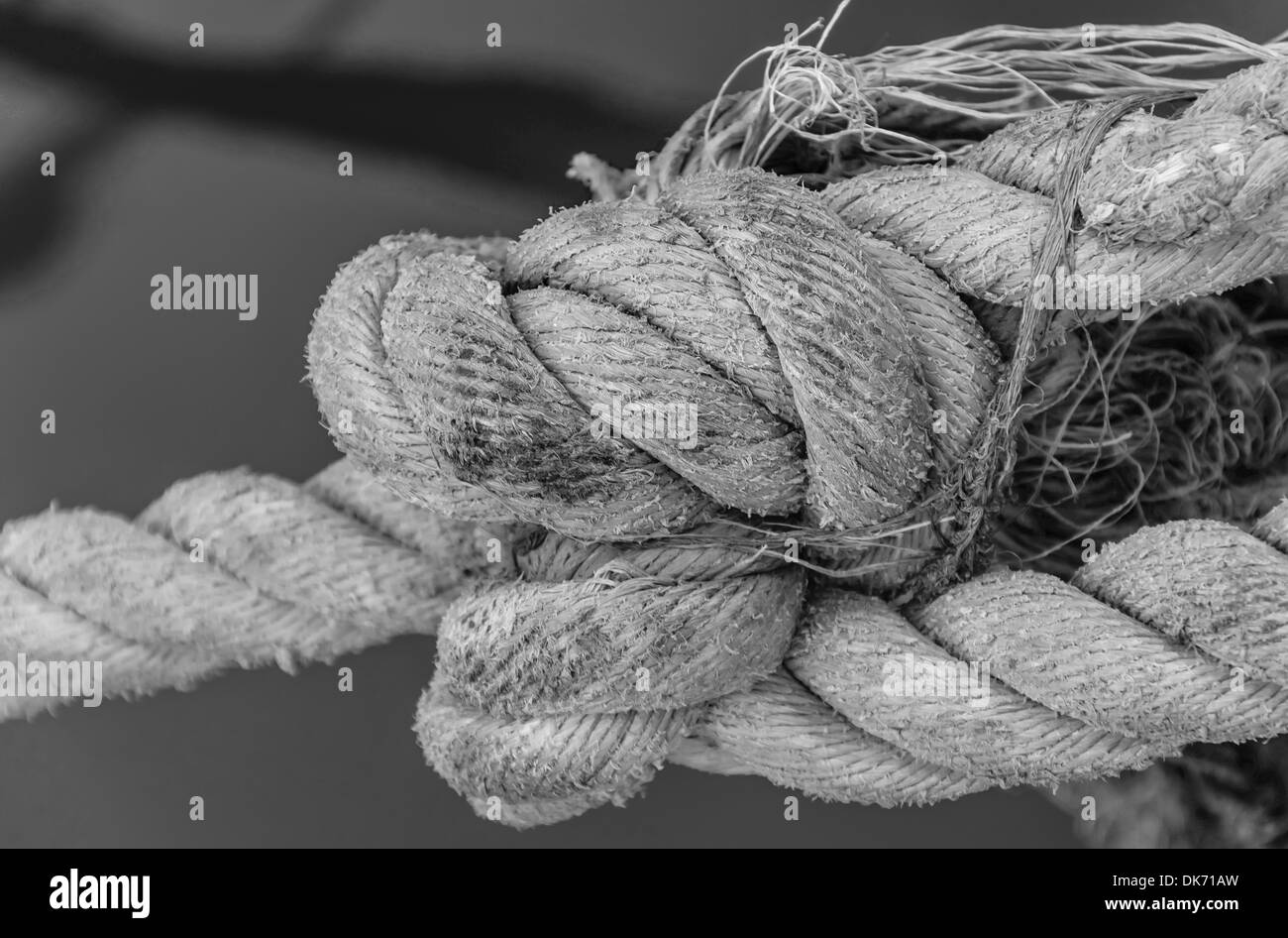 Corda annodata Foto Stock