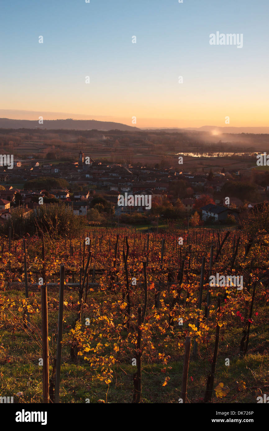 Tramonto sul vigneto italiano in autunno Foto Stock