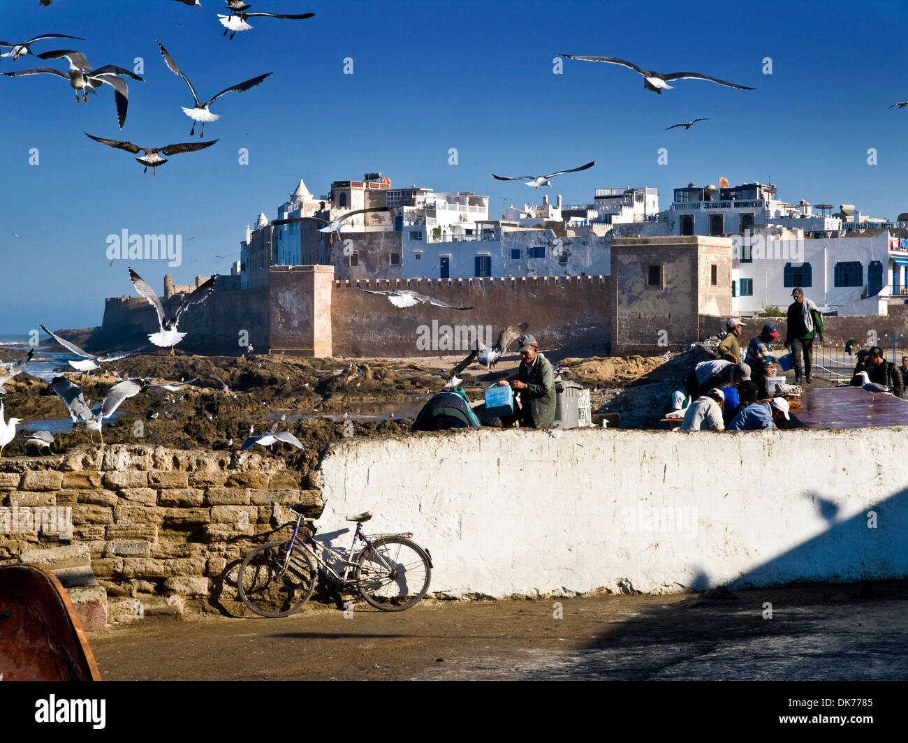 Gabbiani wheeling in cielo ,Essaouira, città murata sulla costa atlantica ,Marocco Foto Stock