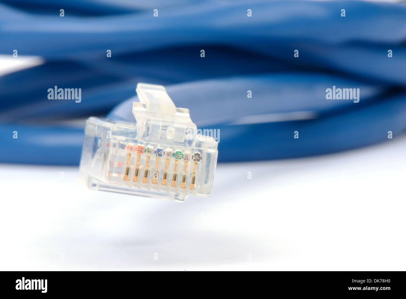 Cavo di connessione di rete isolata su uno sfondo bianco Foto Stock