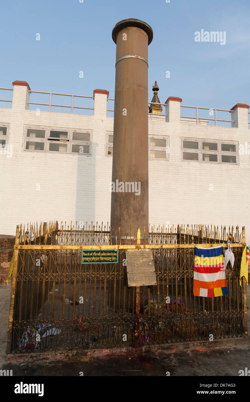 Pilastro di Ashoka sul lato di Maya Devi tempio Lumbini Foto Stock