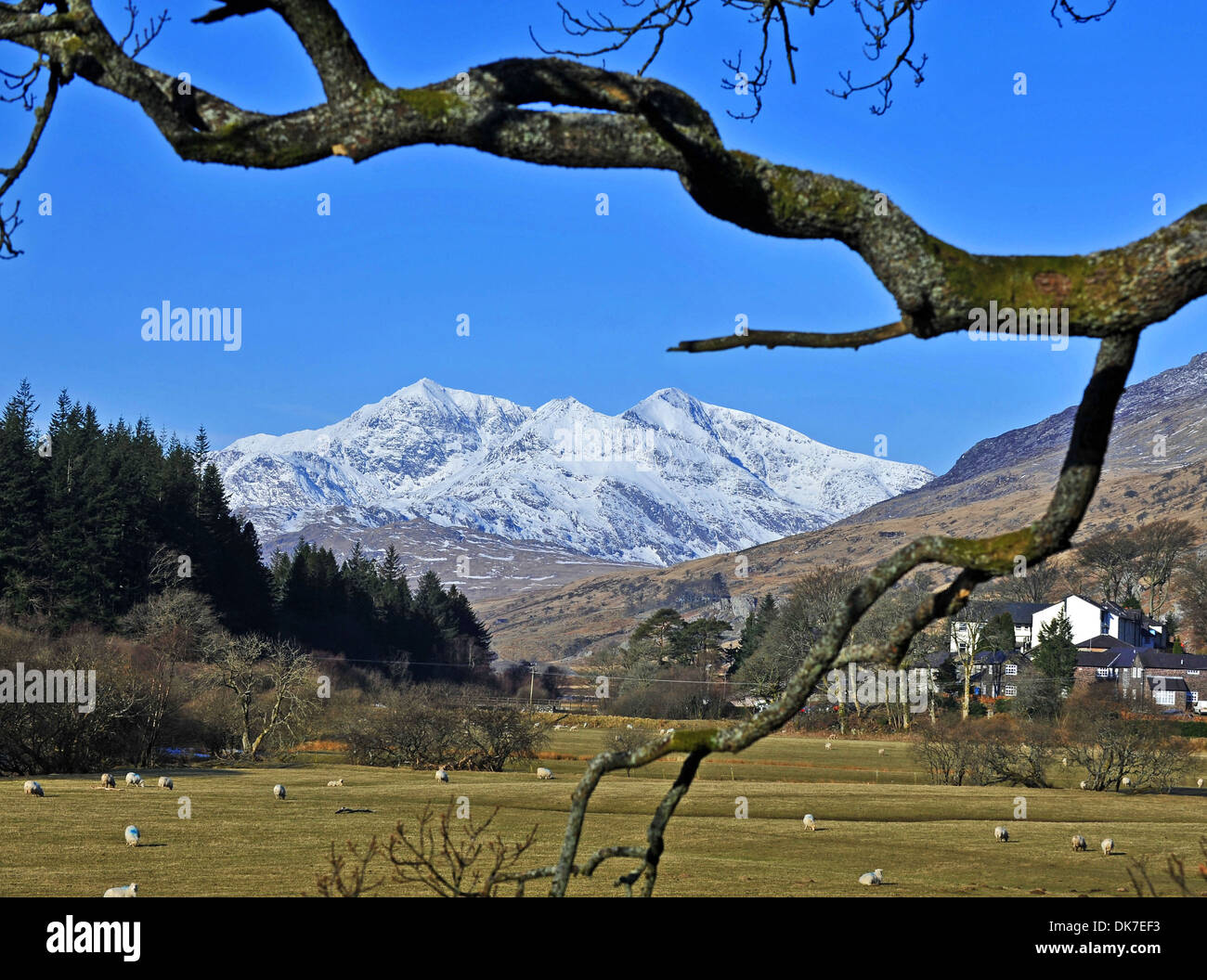 Snowdon, la montagna più alta in Galles, Gwynedd, il Galles del Nord Foto Stock