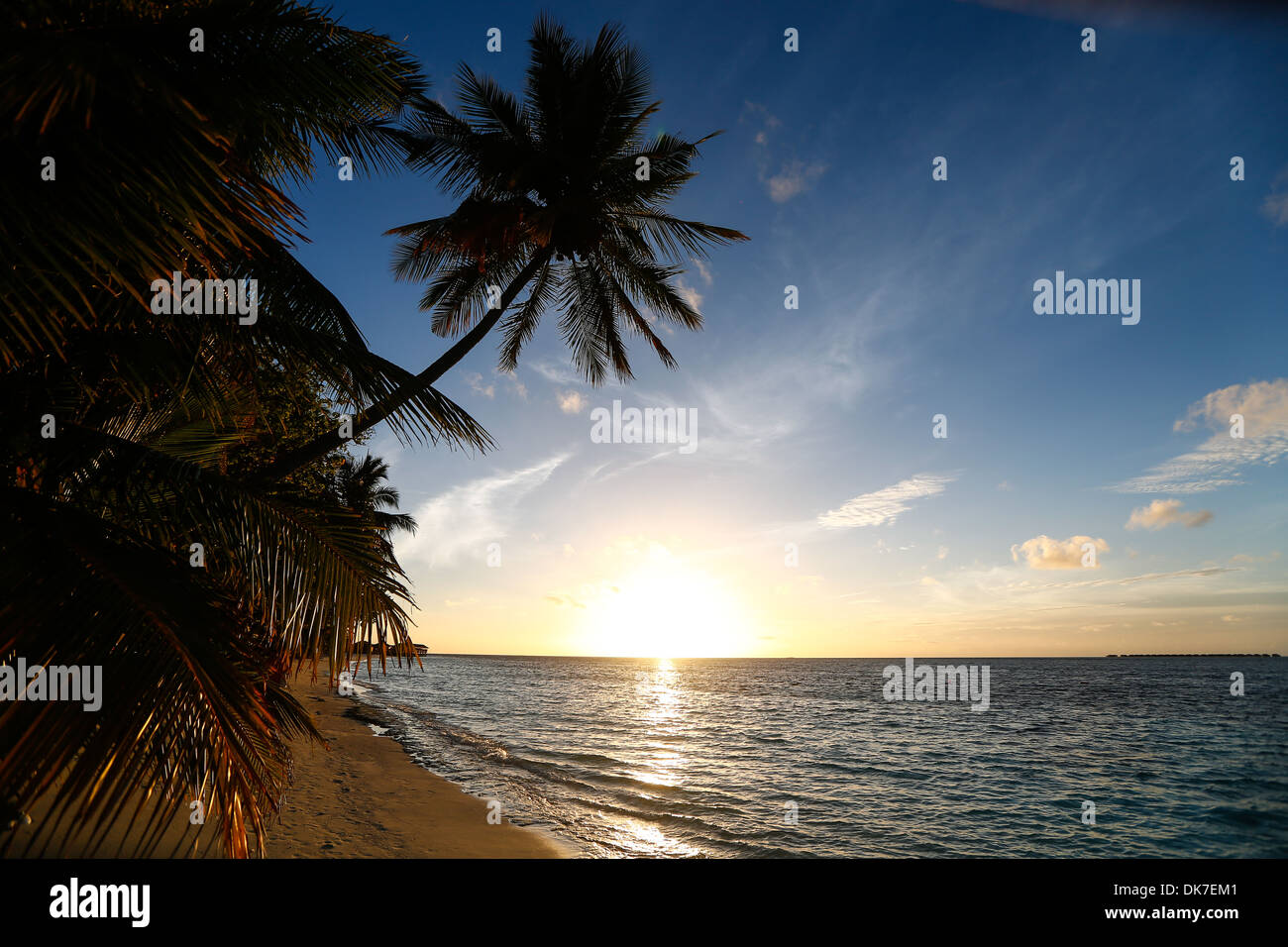 Palme durante il tramonto su un Paradiso Isola Bounty nelle Maldive Foto Stock