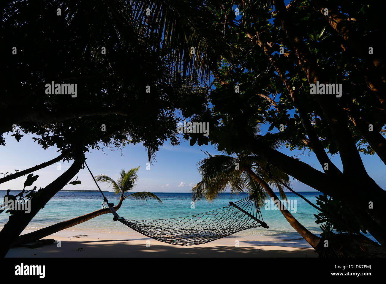 Amaca in tra alberi di palma che si affaccia su un isola bounty spiaggia bianca nelle Maldive Foto Stock