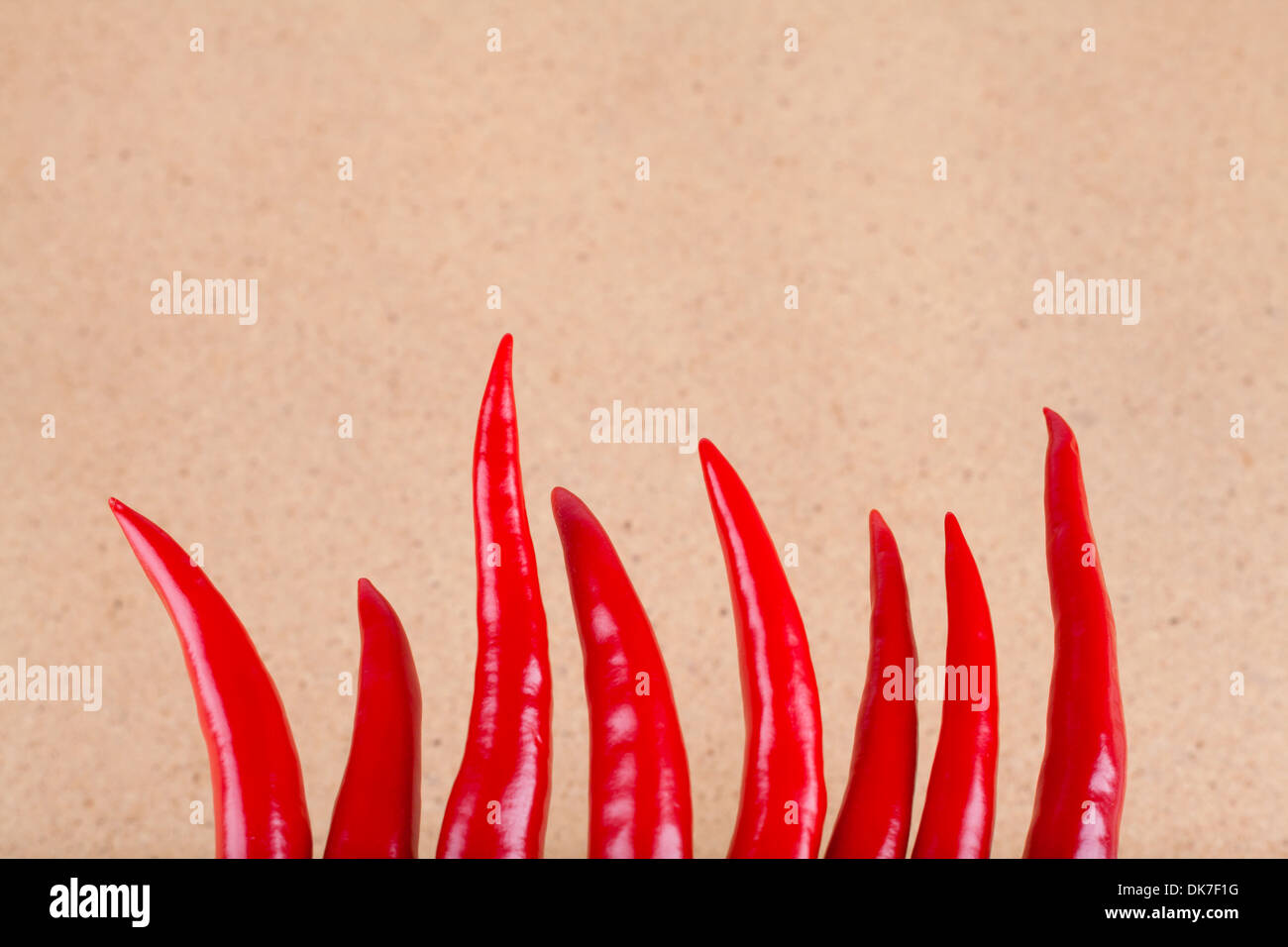 Fresh red hot chili peppers oltre la luce sullo sfondo di legno con copia spazio. Foto Stock