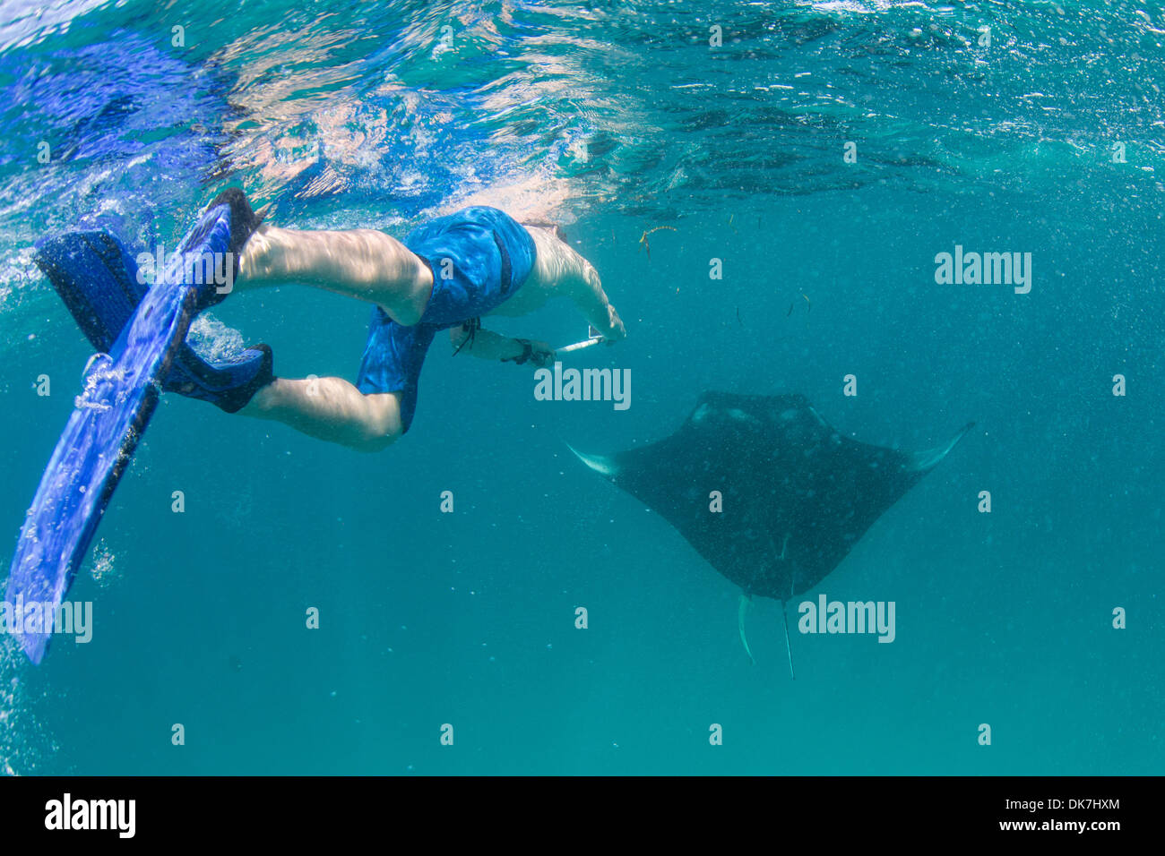 Con la possibilità di fare snorkeling con Mante Foto Stock