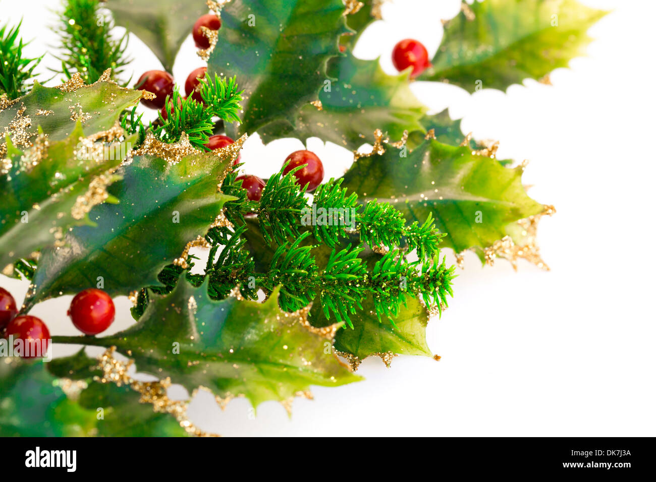 Holly berry pianta con bacche di colore rosso su sfondo bianco, decorazione di Natale. Foto Stock