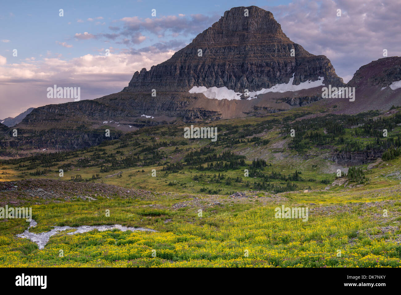 Cielo di tramonto fotografato dalla valle alla base di Reynolds picco di montagna nel Parco Nazionale di Glacier. Foto Stock