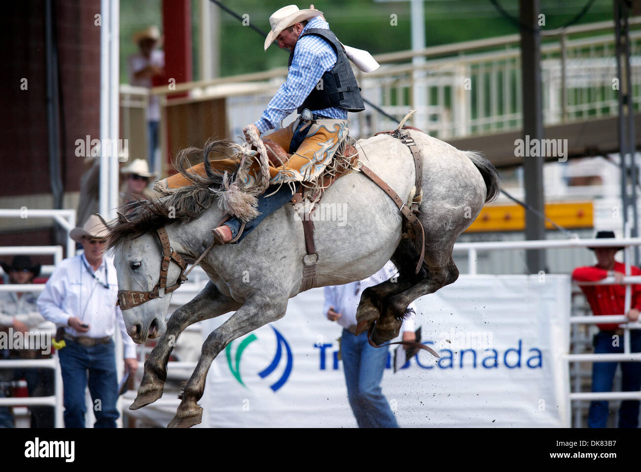 8 luglio 2011 - Calgary, Alberta, Canada - Sella pilota bronc Jeffery Willert di Filippo, SD corse luci del sud per un 80,5 e 2° posto il giorno a Calgary Stampede a Calgary, AB, Canada. (Credito Immagine: © Matt Cohen/Southcreek globale/ZUMAPRESS.com) Foto Stock