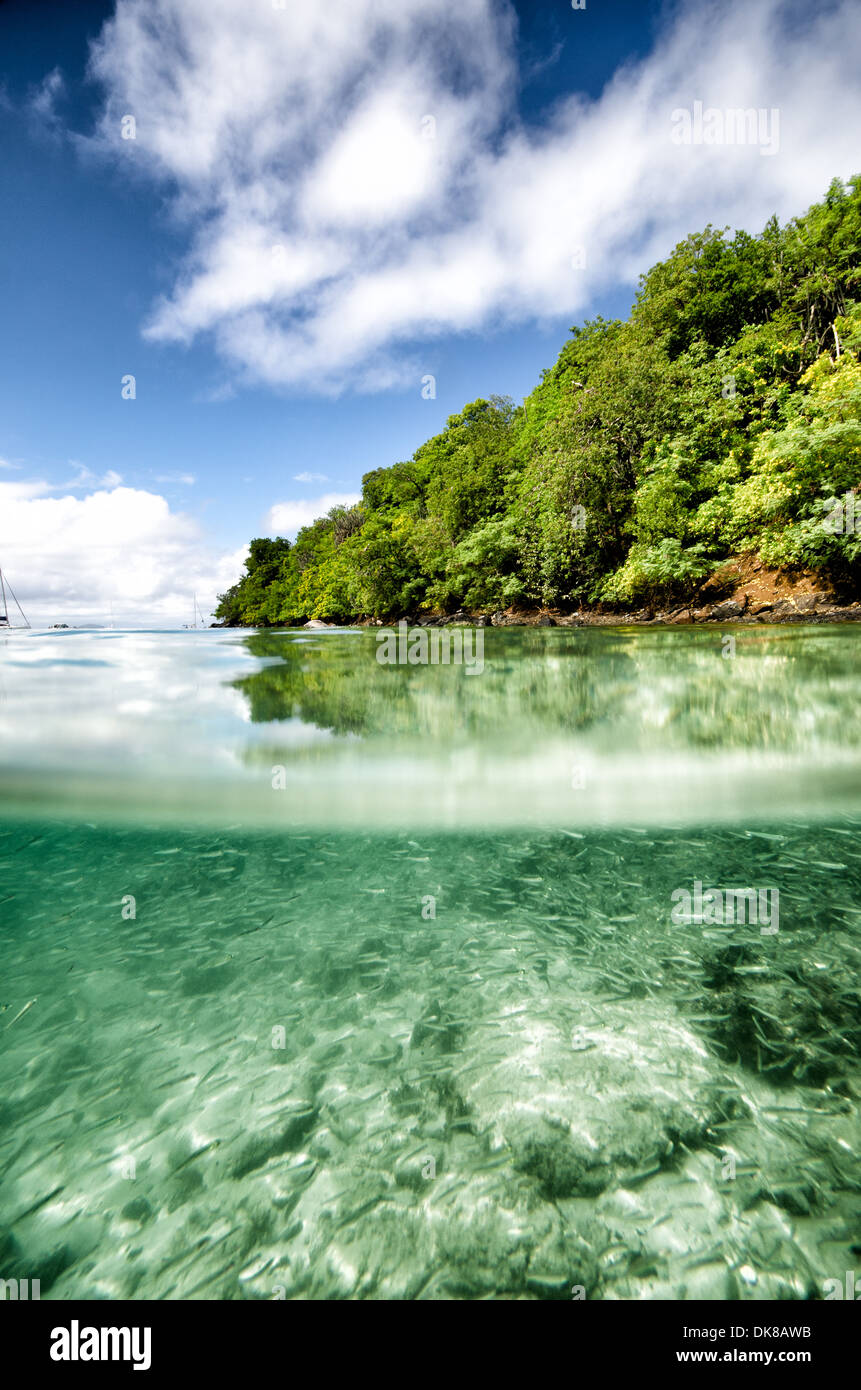 Maho Bay Spalato Vista sott'acqua sopra l'acqua St John Isole Vergini americane // ST JOHN, Isole Vergini americane - Un'immagine divisa che mostra le viste subacquee e sopra l'acqua a Maho Bay a St John nelle Isole Vergini americane. Maho Bay fa parte del Parco Nazionale delle Isole Vergini, conosciuto per le sue acque cristalline e la variegata vita marina. L'immagine cattura la transizione tra il paesaggio della spiaggia tropicale e il vibrante ecosistema sottomarino. Foto Stock
