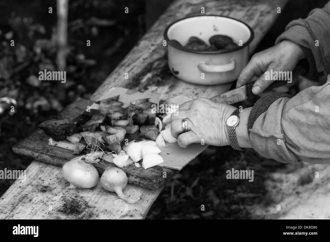 Pancetta arrosto patate al forno e cipolle fresche che serve Foto Stock