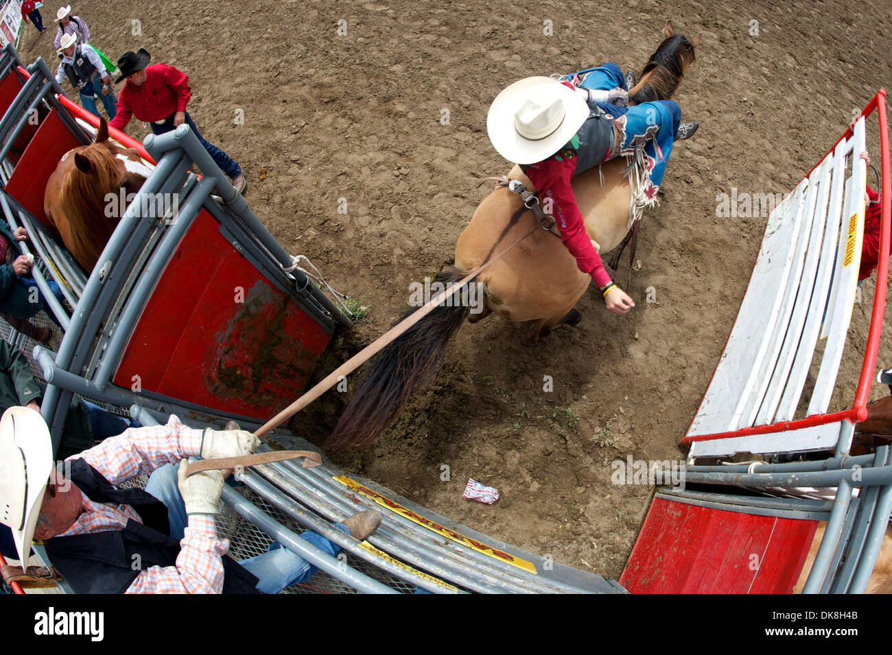 Luglio 23, 2011 - Salinas, California, Stati Uniti - Bareback rider Josi giovani di Kimberly, ID rides Willy Buck al California Rodeo Salinas in Salinas, CA. (Credito Immagine: © Matt Cohen/Southcreek globale/ZUMAPRESS.com) Foto Stock