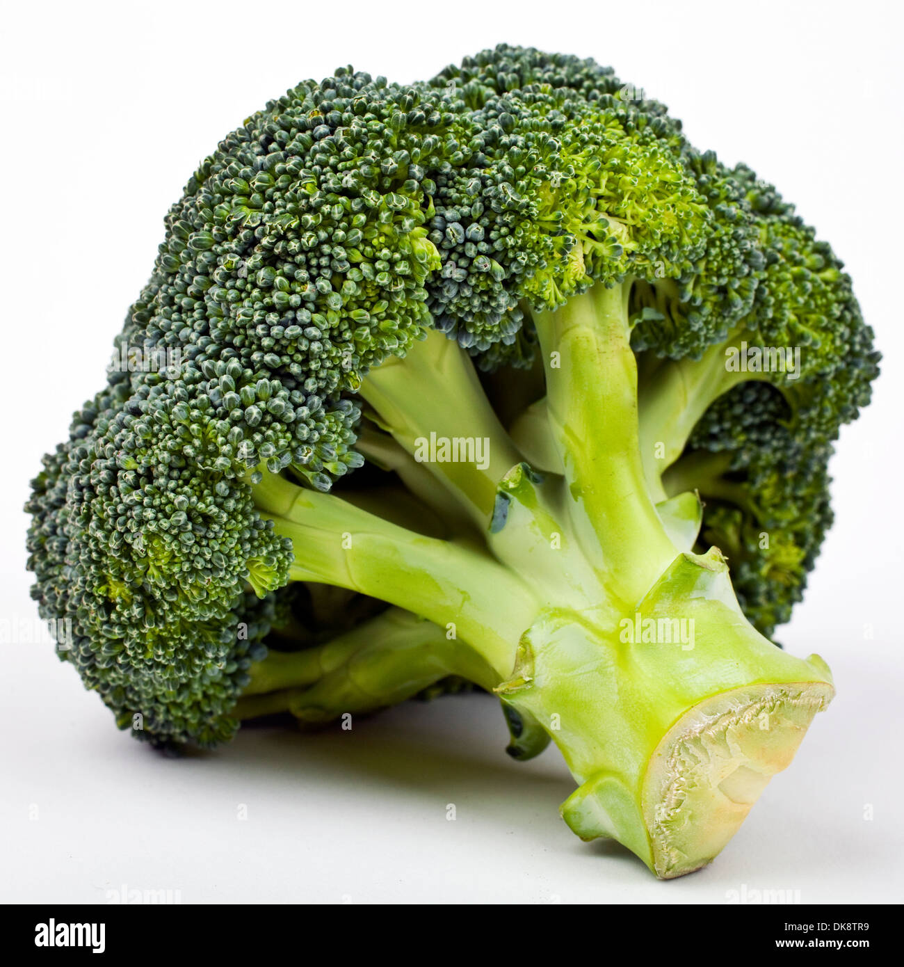 Broccoli su uno sfondo bianco. Foto Stock