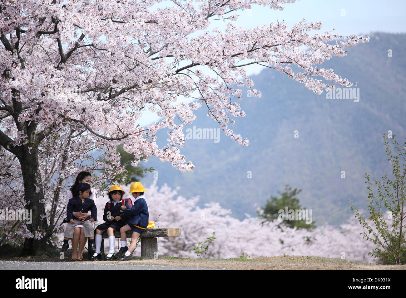 I ragazzi giapponesi in campagna Foto Stock