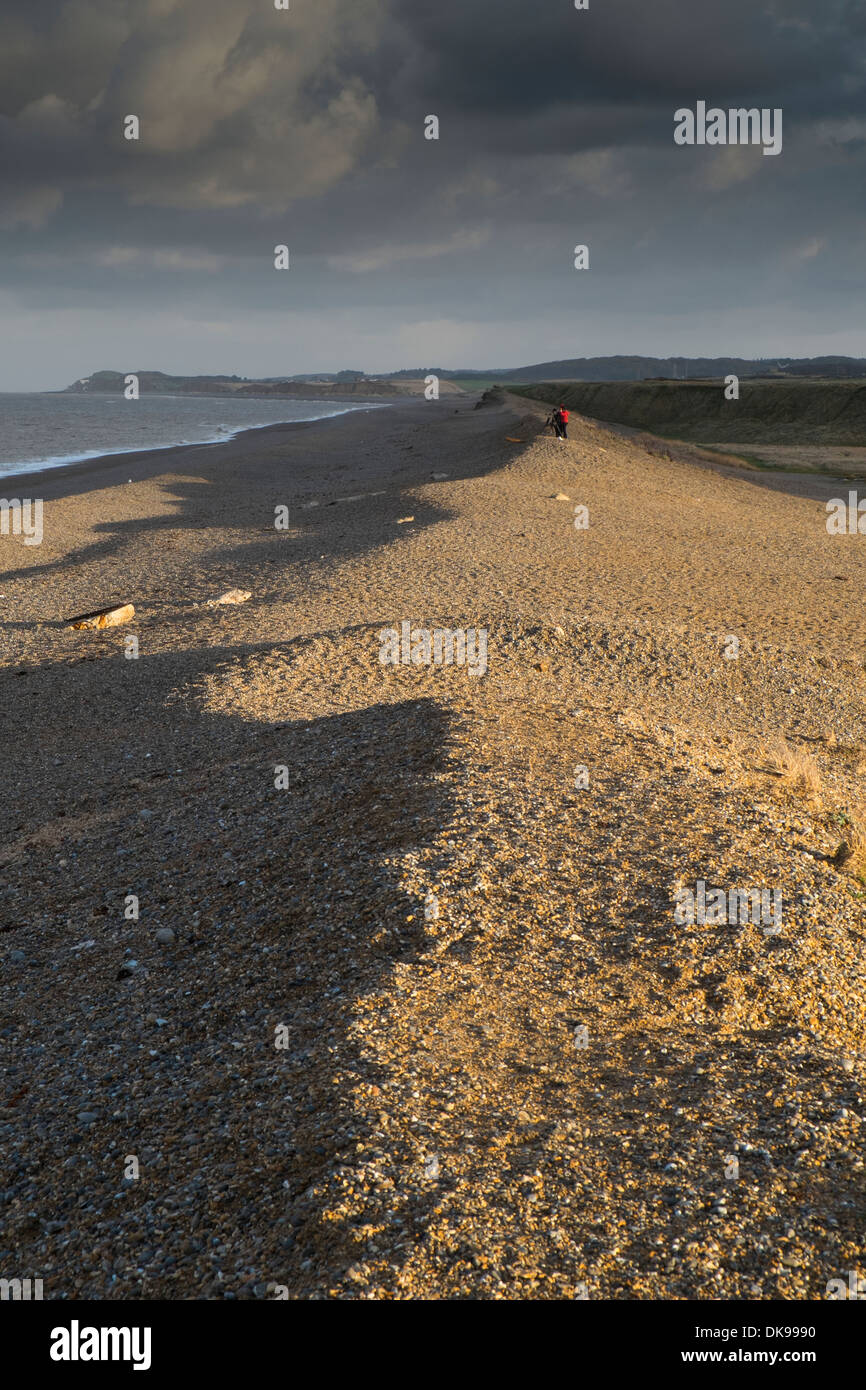 Vista della banca di scandole a Salthouse, Norfolk, Inghilterra, Novembre Foto Stock