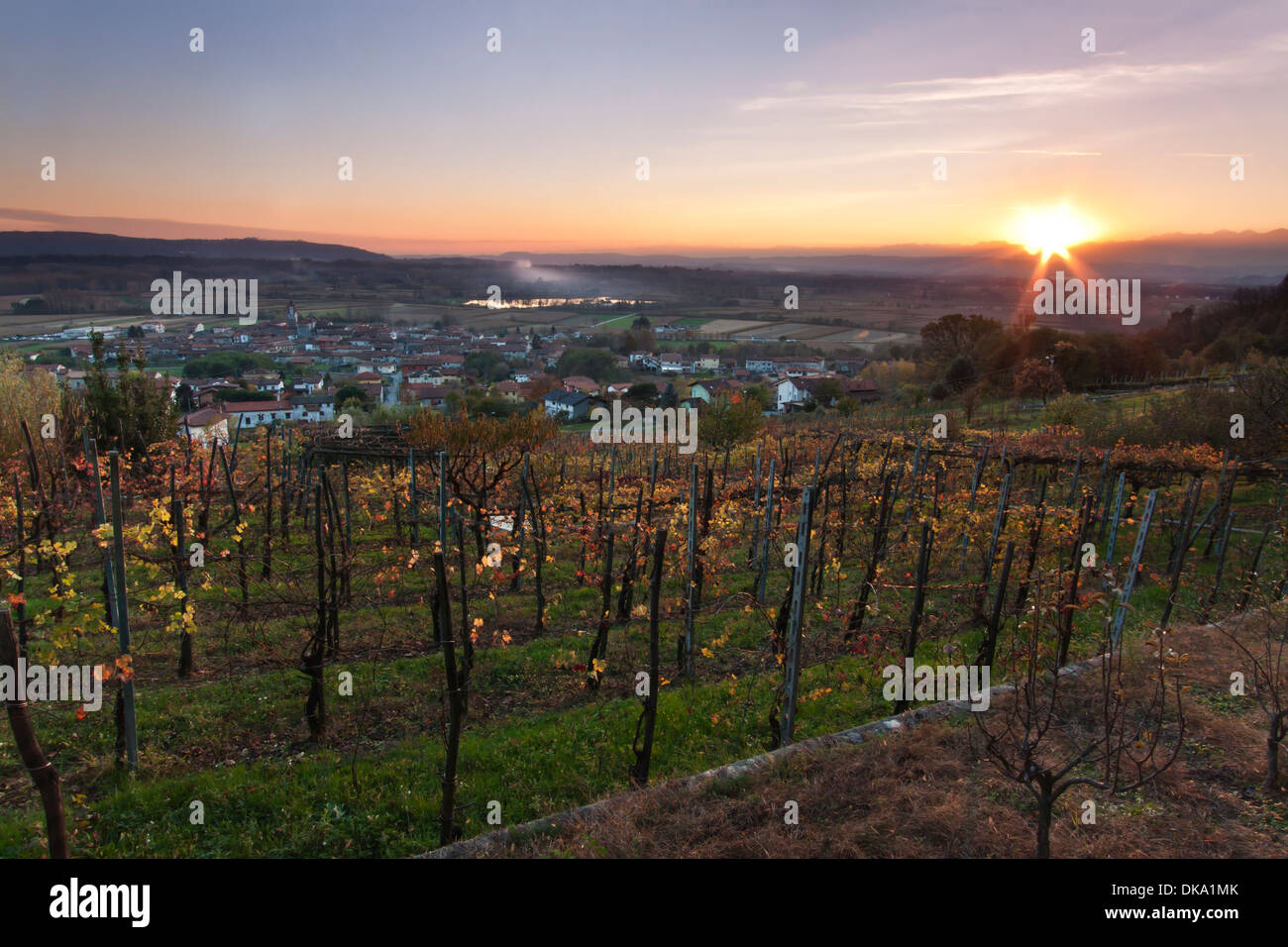 Tramonto sul vigneto Italia - Piemonte Foto Stock