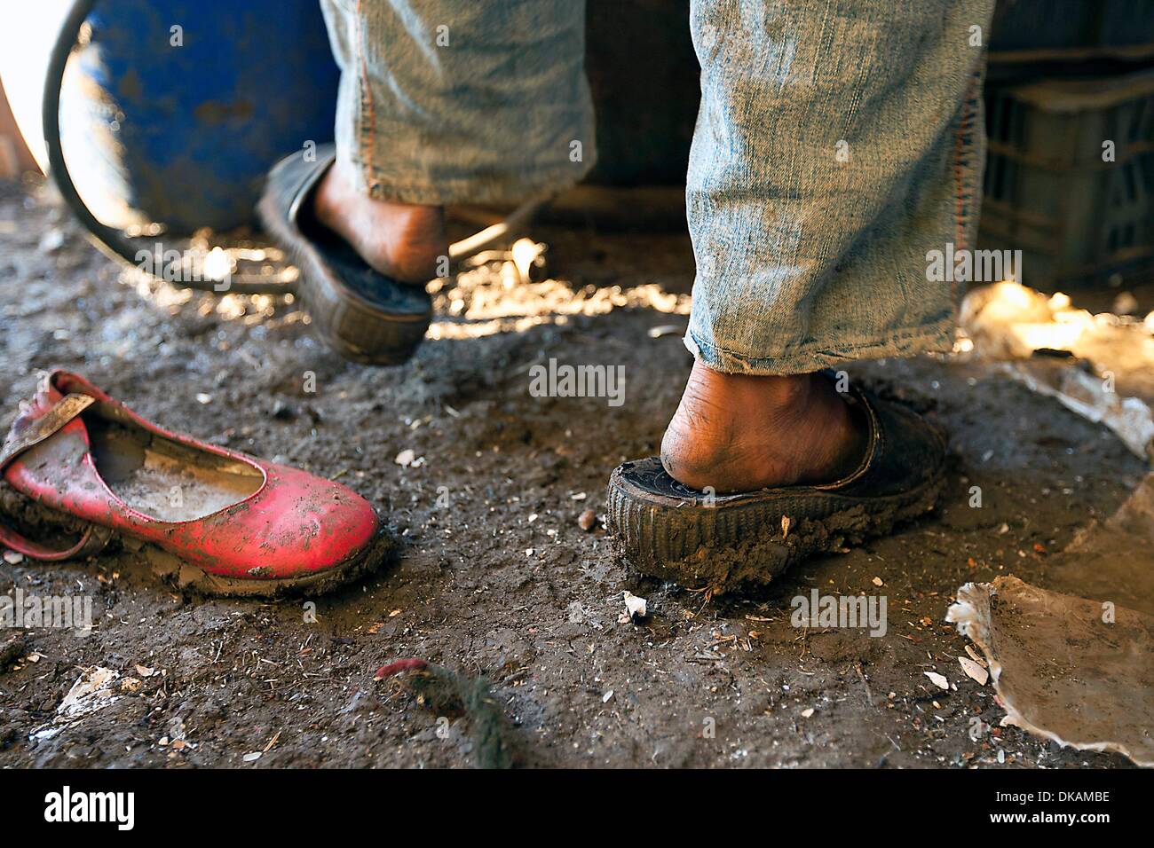 Questa famiglia fuggì dalla Siria al Libano , nelle prime sei settimane i bambini sono stati completamente in proprio. Il padre morì in guerra e la madre non poteva lasciare i suoi genitori soli. Ella ha venduto l'ultima vacca e inviato i sei figli fuori da solo . Il più antico d Foto Stock