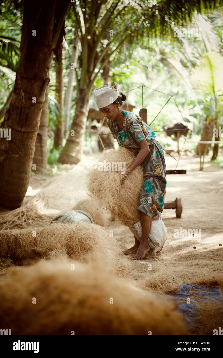 Rendendo la corda da fibre di cocco. Munroe Island. Ashtamudi lake, Quilon, India Foto Stock