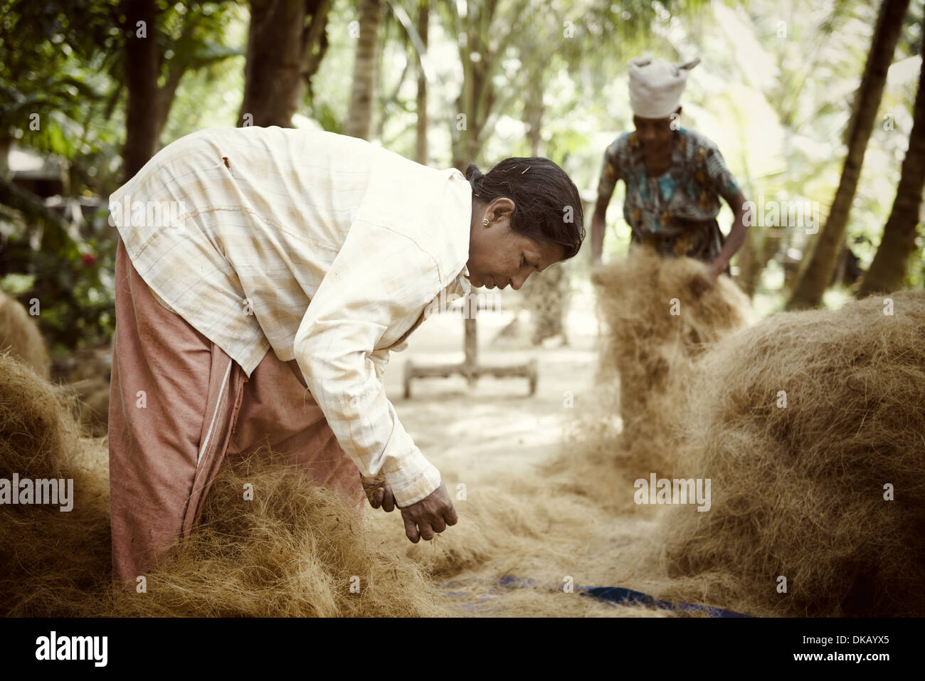 Rendendo la corda da fibre di cocco. Munroe Island. Ashtamudi lake, Quilon, India Foto Stock