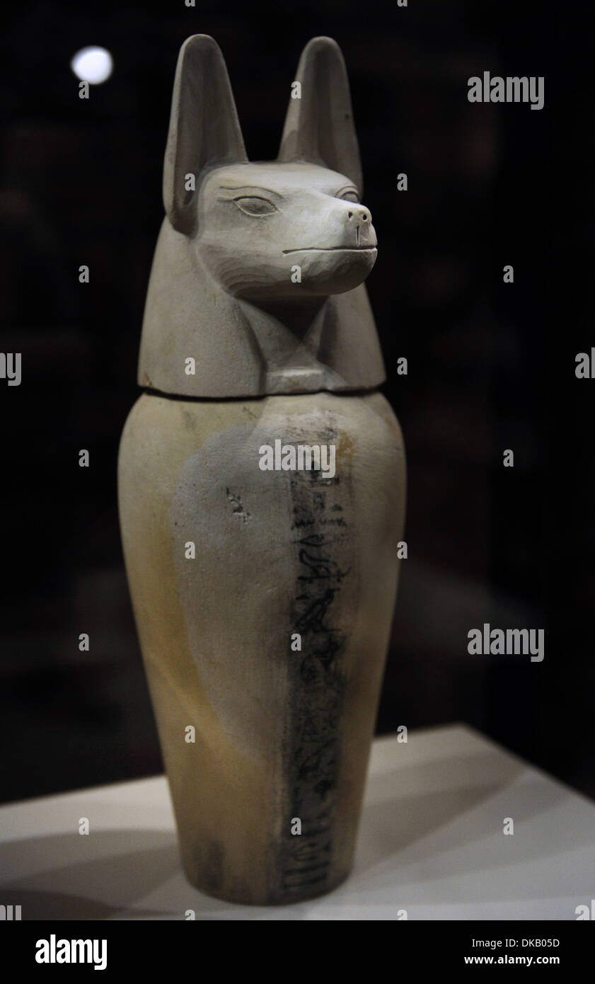 Canopi vaso con coperchio a forma di testa di un jackal: Duamutef. Terzo Periodo Intermedio. 21st-24th dinastie. Foto Stock