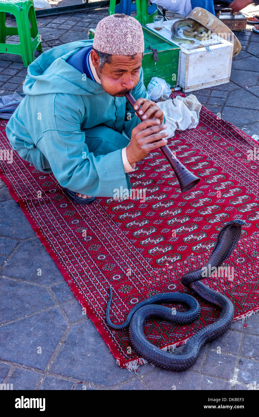 Il serpente Incantatore, Jemaa el Fna a Marrakech, Marocco Foto Stock