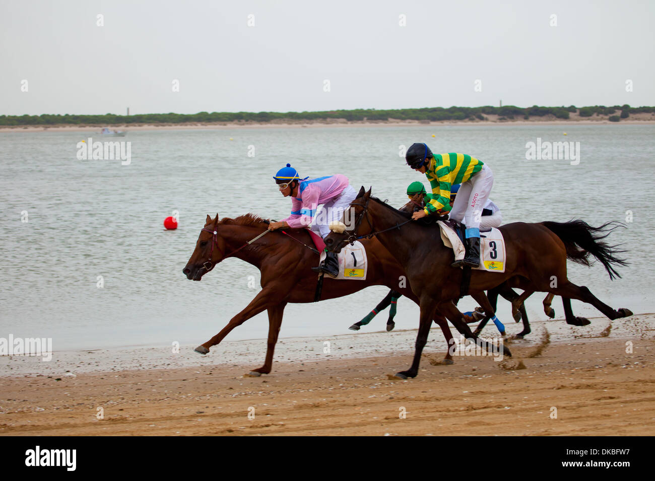 I piloti non identificato i cavalli da corsa su Sanlucar de Barrameda spiaggia Foto Stock