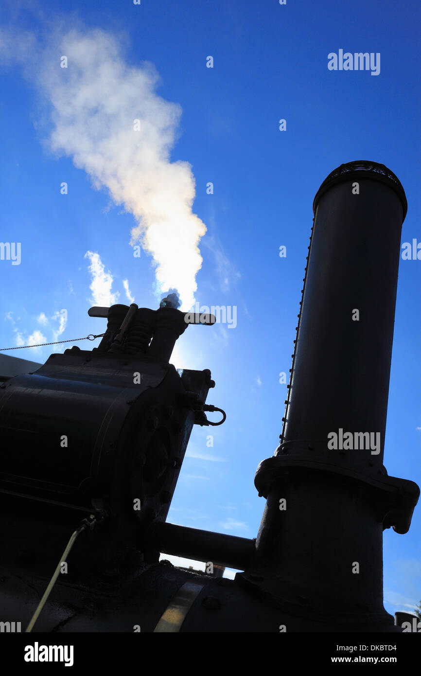 Imbuto e regolatore centrifugo in un motore di trazione. Foto Stock