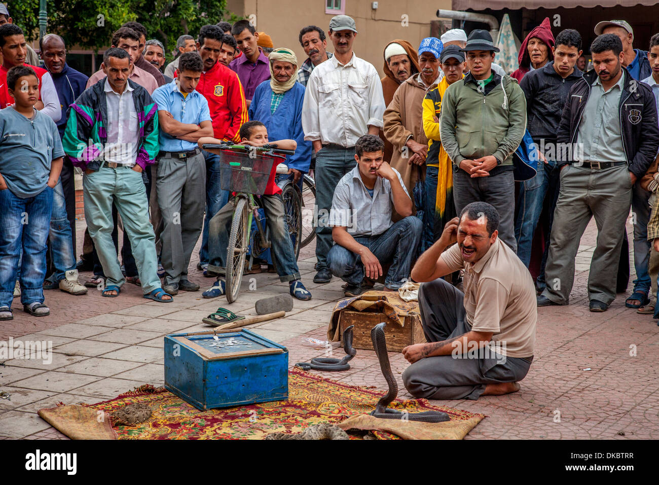 Il serpente Incantatore, Place Assarag, Taroudant, Marocco Foto Stock