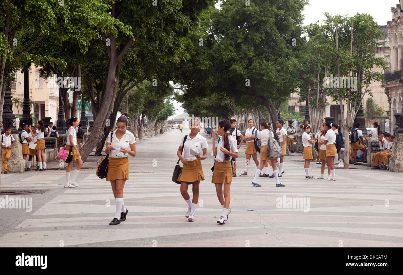 Teenage scolari cubano, studentesse, in uniforme di mattina andando a scuola, il Museo del Prado, Havana, Cuba Caraibi Foto Stock