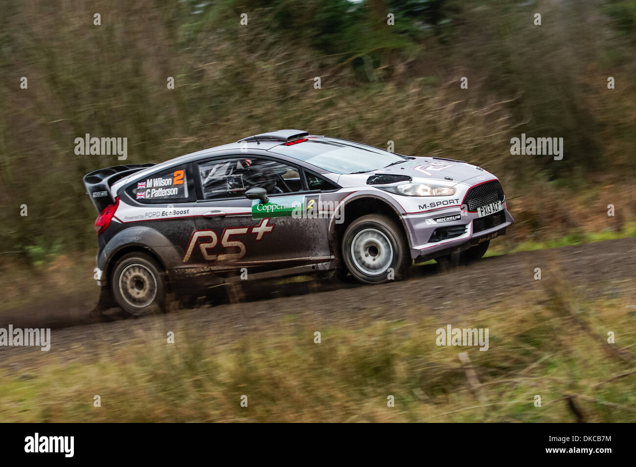 Matthew Wilson - Ford Fiesta R5 Foto Stock