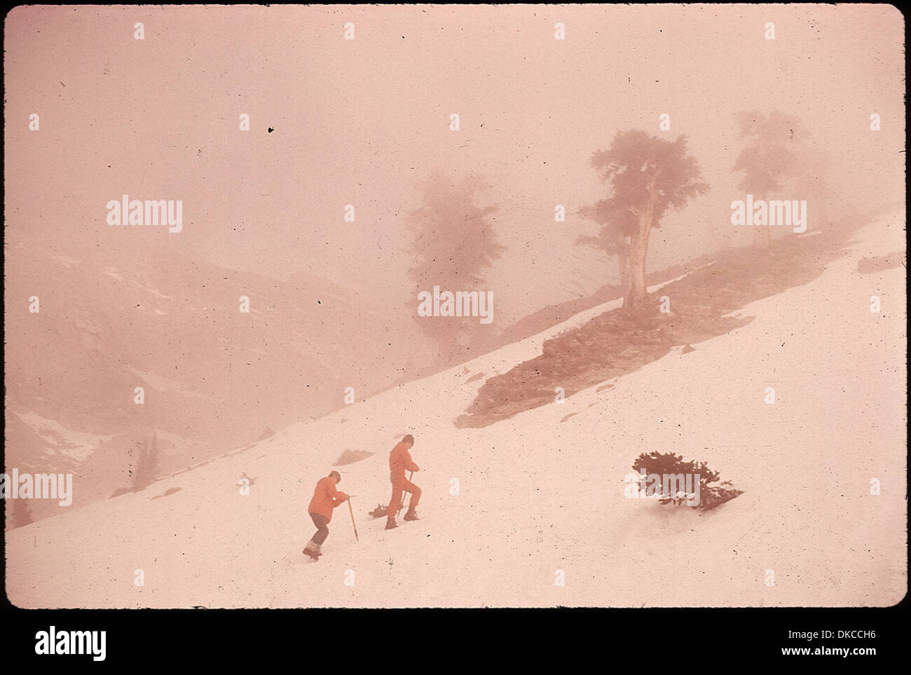 Gli escursionisti di Explorer Post 397 della zona di Los Angeles salire da 7500 Ft. Al Lago di Monarch. (11.200 piedi) 543384 Foto Stock