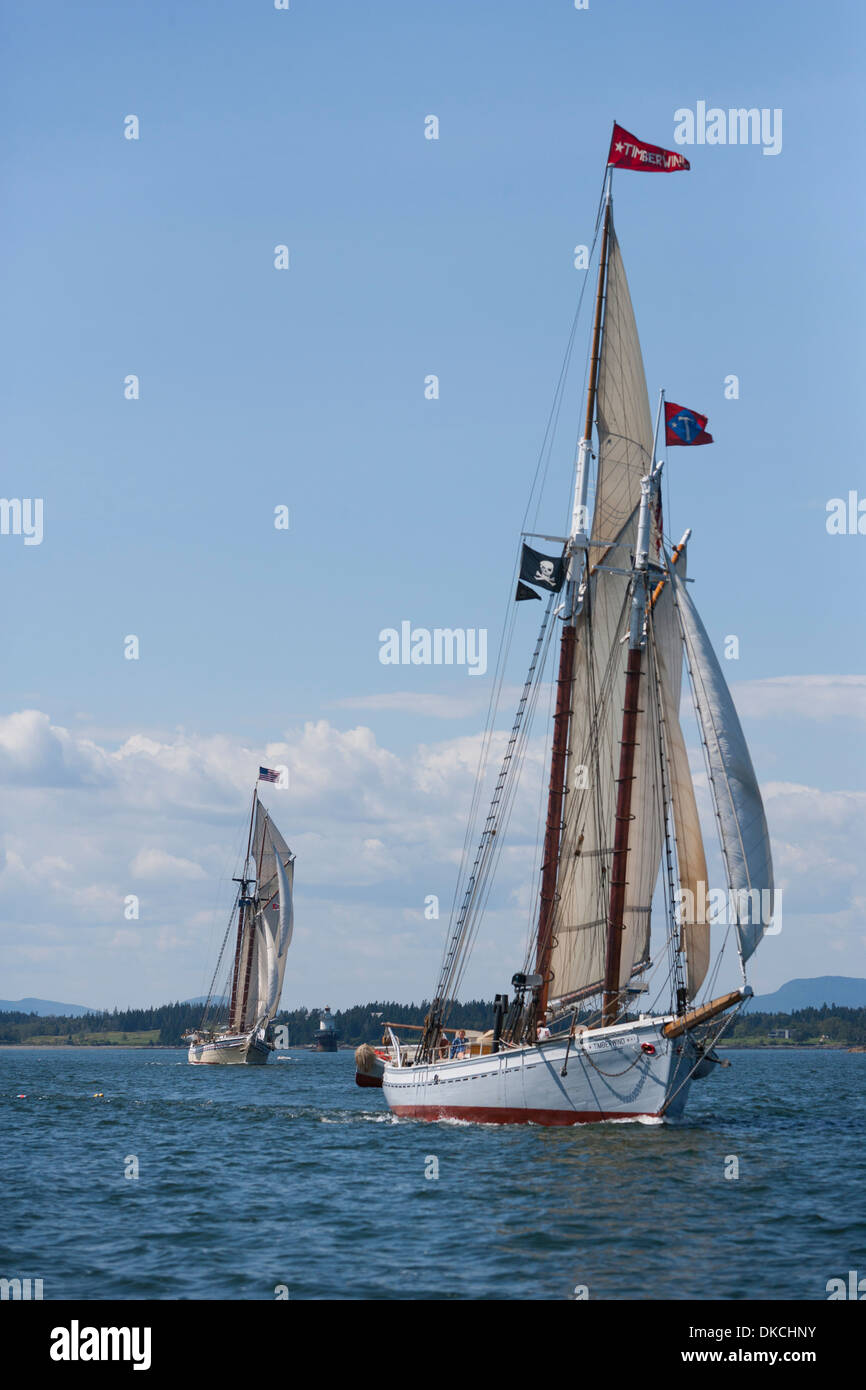 In pelo che navigano nelle acque del Maine, Stati Uniti d'America Foto Stock