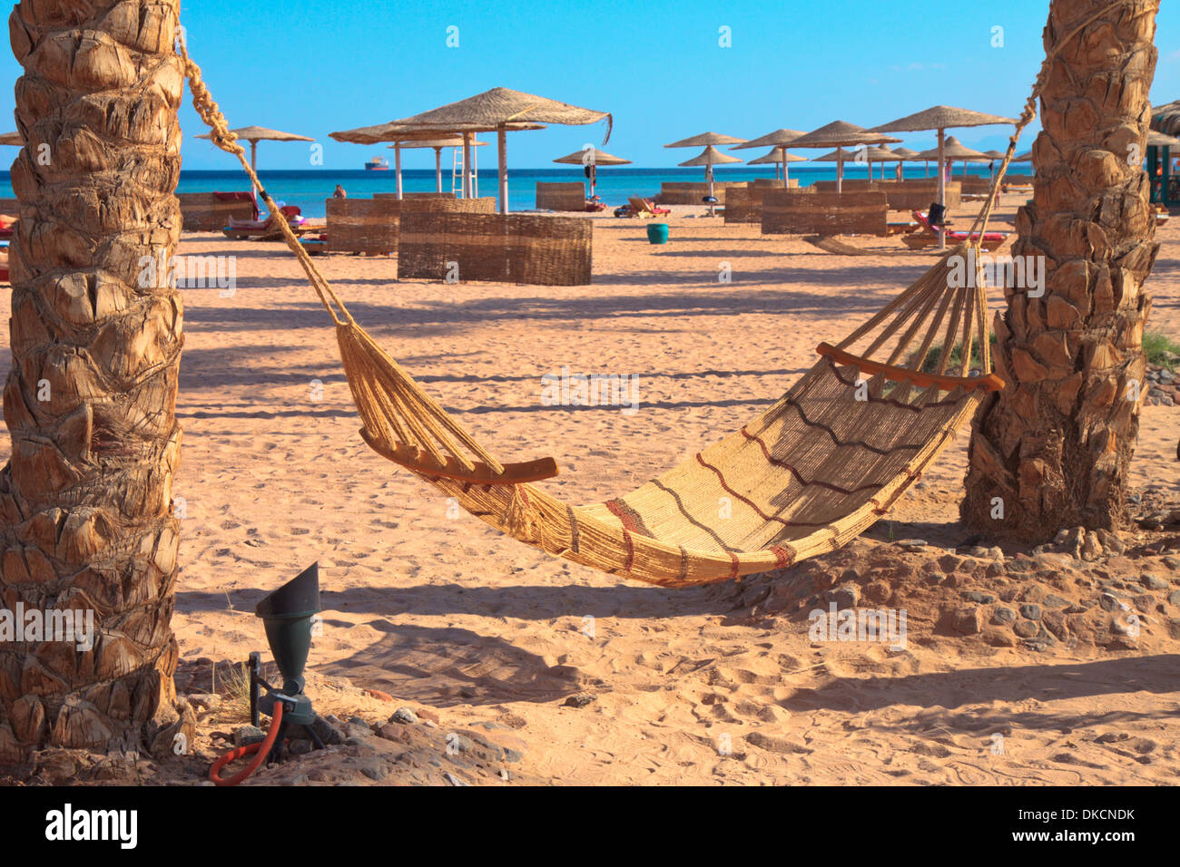 Un amaca espulso tra 2 palme su una spiaggia egiziano Foto Stock