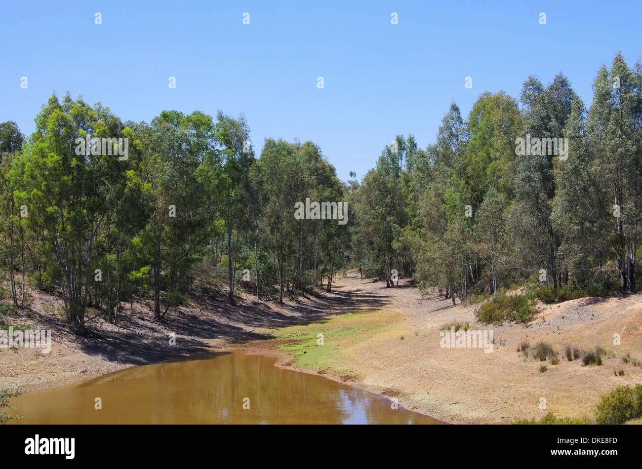 Dehesa 54 Foto Stock