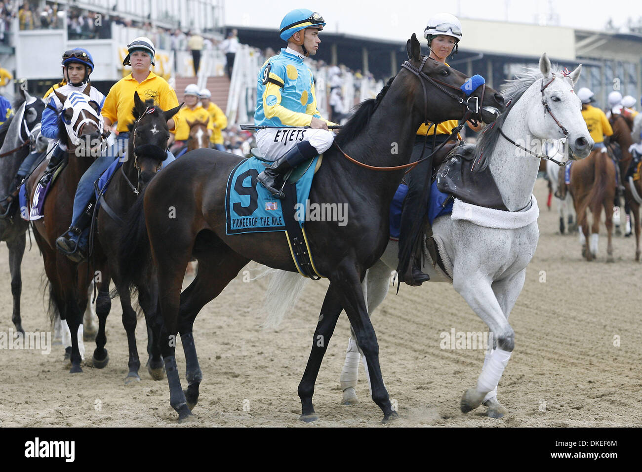 16 maggio 2009 - Baltimore, Maryland, Stati Uniti d'America - Jockey GARRETT GOMEZ rides pioniere del Nilo al gate di partenza per il Preakness Stakes di Pimlico. Gomez rode pioniere del Nilo ad un undicesimo posto finale. (Credito Immagine: © James Berglie/ZUMA Press) Foto Stock