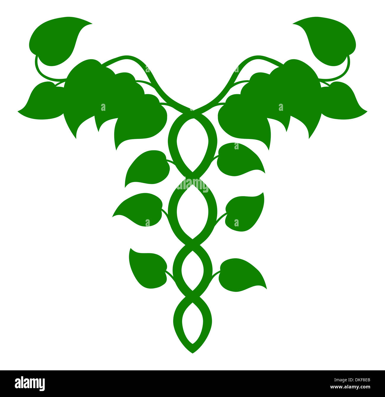 Illustrazione di un caduceo costituita da vitigni, DNA o medicina olistica concept Foto Stock