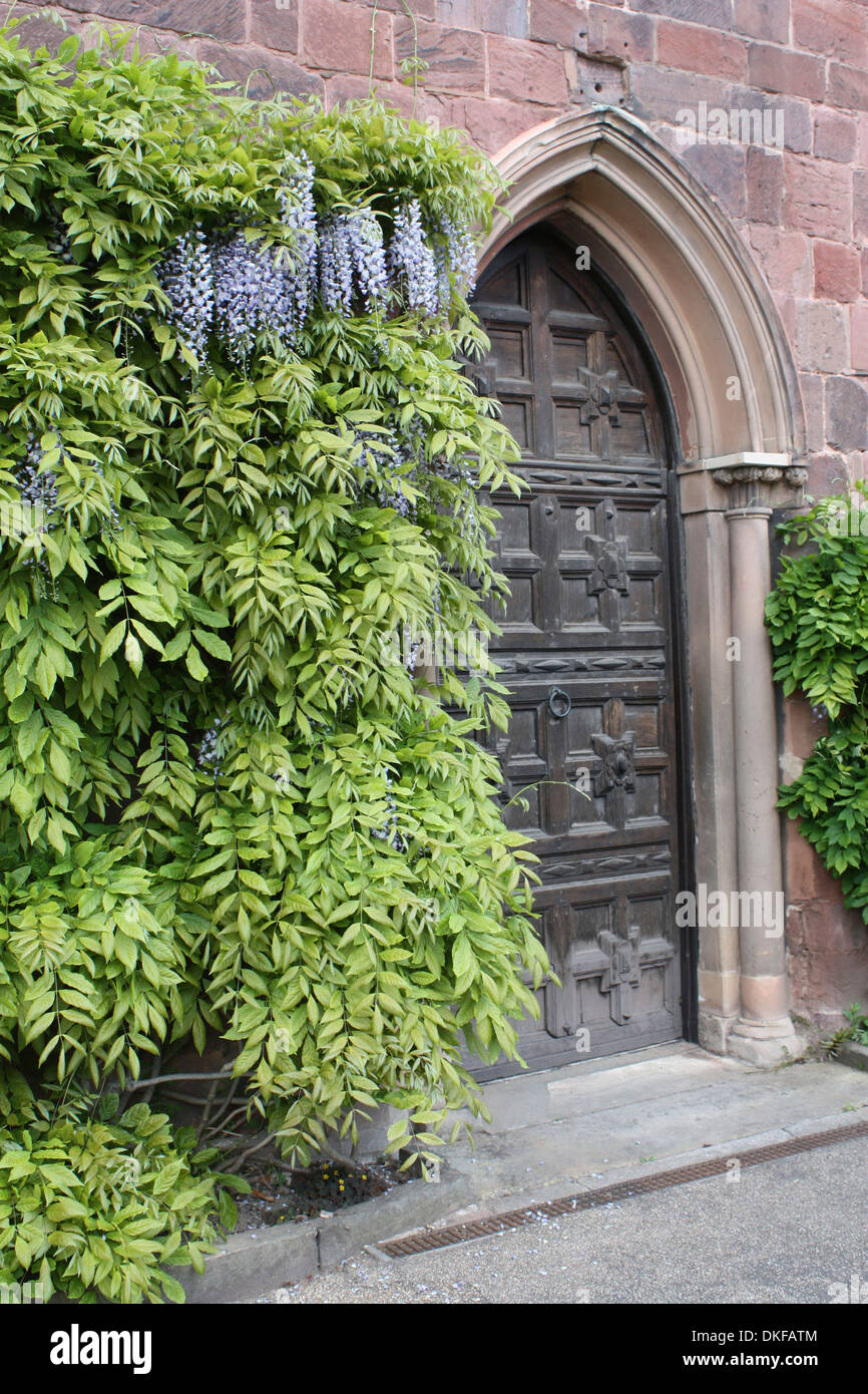 Scolpiti in legno porta del castello di Shrewsbury in Shropshire circondato da macchia malva. Foto Stock