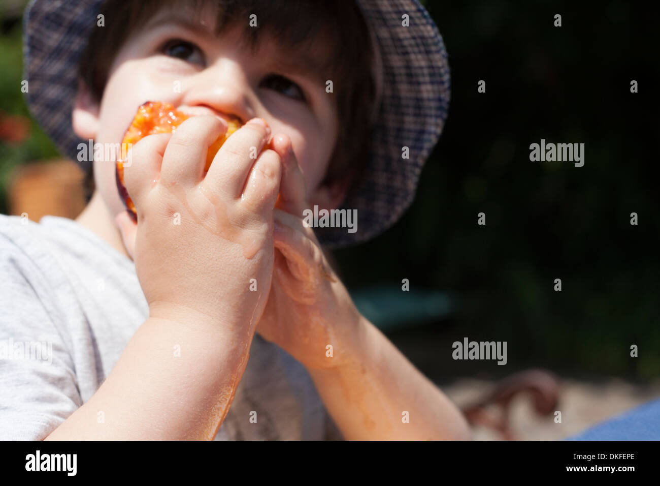 Close up toddler maschio di mangiare una pesca Foto Stock