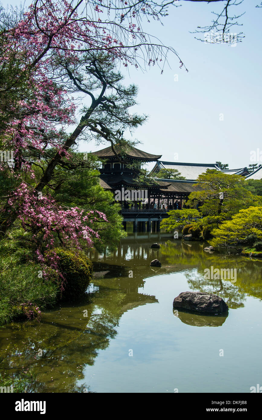 Heian Jingu, la fioritura dei ciliegi, Okazaki Park, Kyoto, Giappone Foto Stock