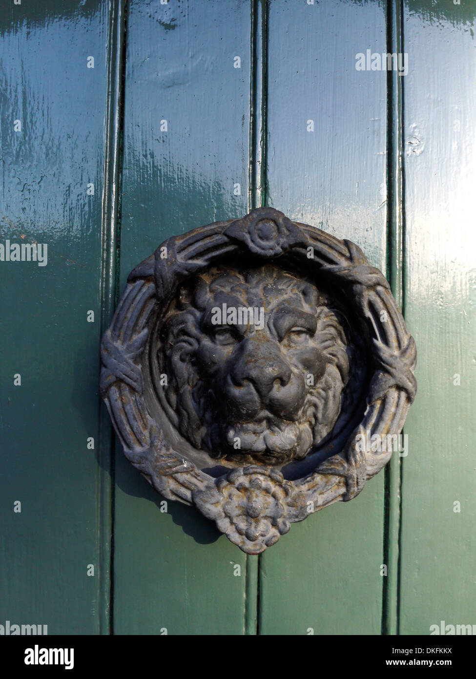 Porta respingente con lion faccia sulla porta verde Foto Stock