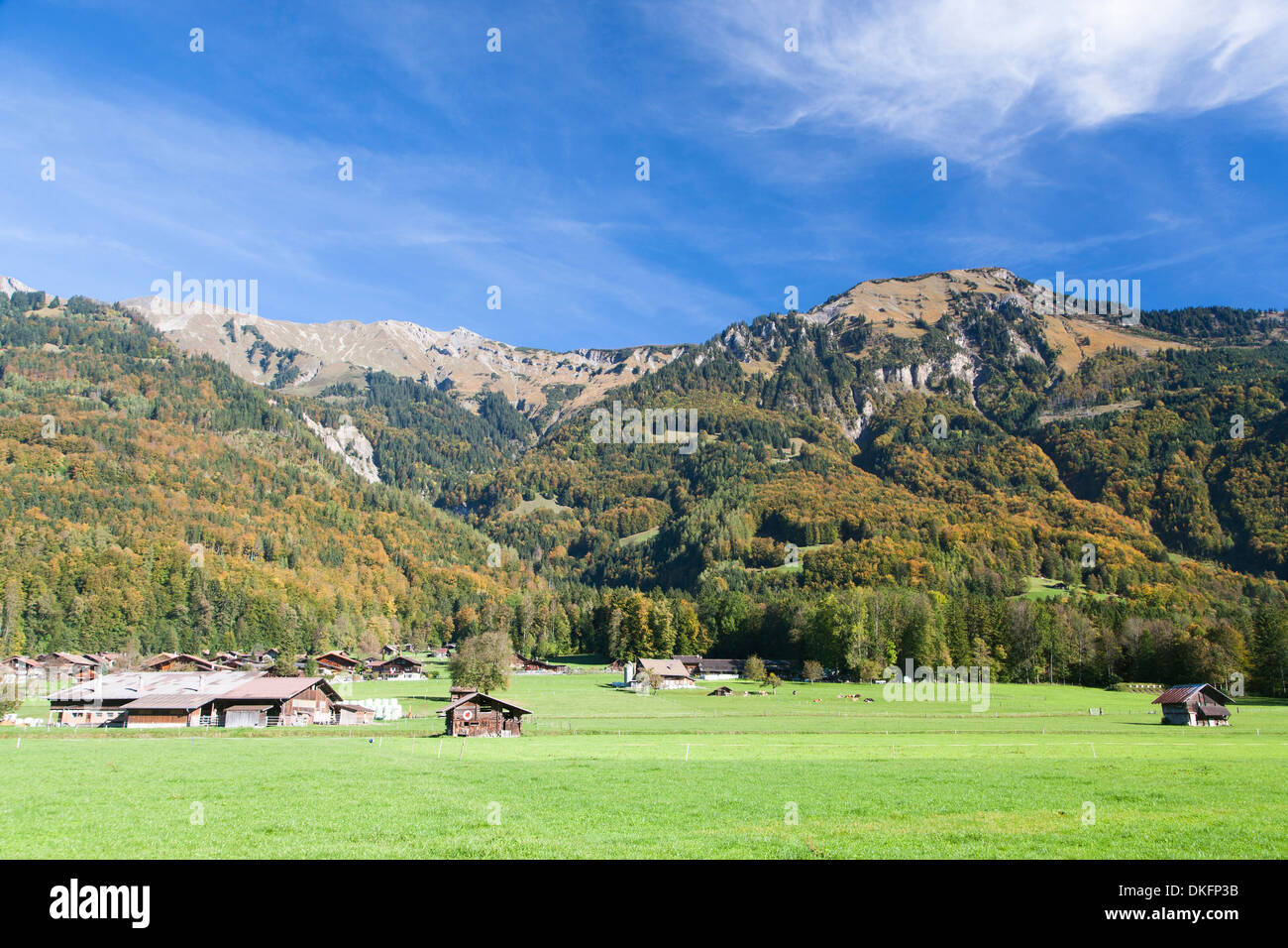 Paesaggio autunnale nell Oberland bernese, Canton Berna, Svizzera Foto Stock